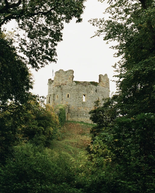 Scenic view of an old stone castle surrounded by lush green trees, captured on a cloudy day with natural light and a sense of history.
