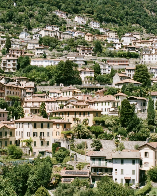 Hillside homes with terracotta roofs are nestled among green trees in a picturesque Italian village setting with bright, natural lighting.