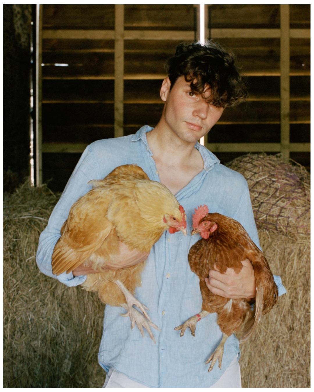 Young man in light blue shirt holds two brown chickens in a hay-filled barn, creating a rustic portrait with farm animals.