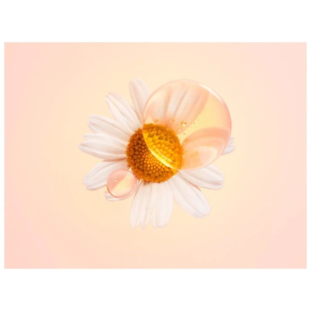 Close-up studio shot of a daisy flower with water droplets on petals, set against a soft peach and cream gradient background.
