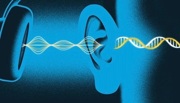 Illustration of headphones, ear, and soundwaves against a blue background. Conceptual imagery related to hearing, music, or audio technology.
