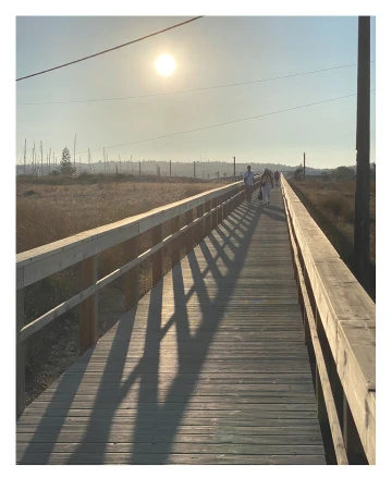 People walk on a wooden boardwalk path through coastal vegetation, sunny weather, long shadows, with masts of boats in the distance.