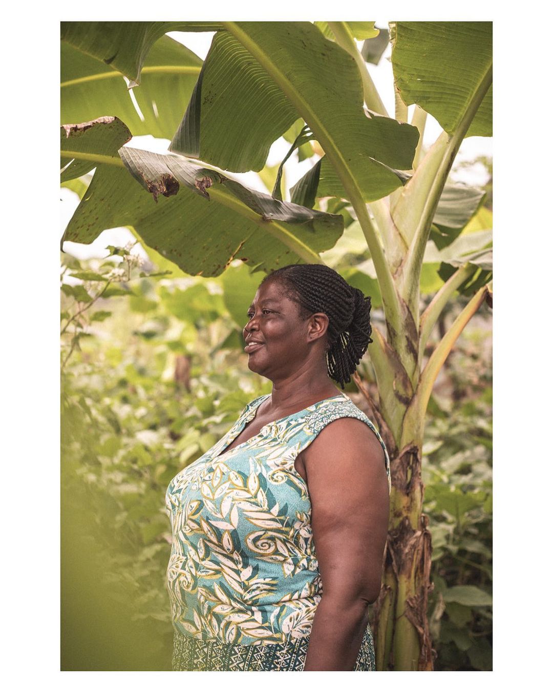 Adult Black woman standing outdoors in a lush, green environment near a banana tree, smiling softly in natural daylight.
