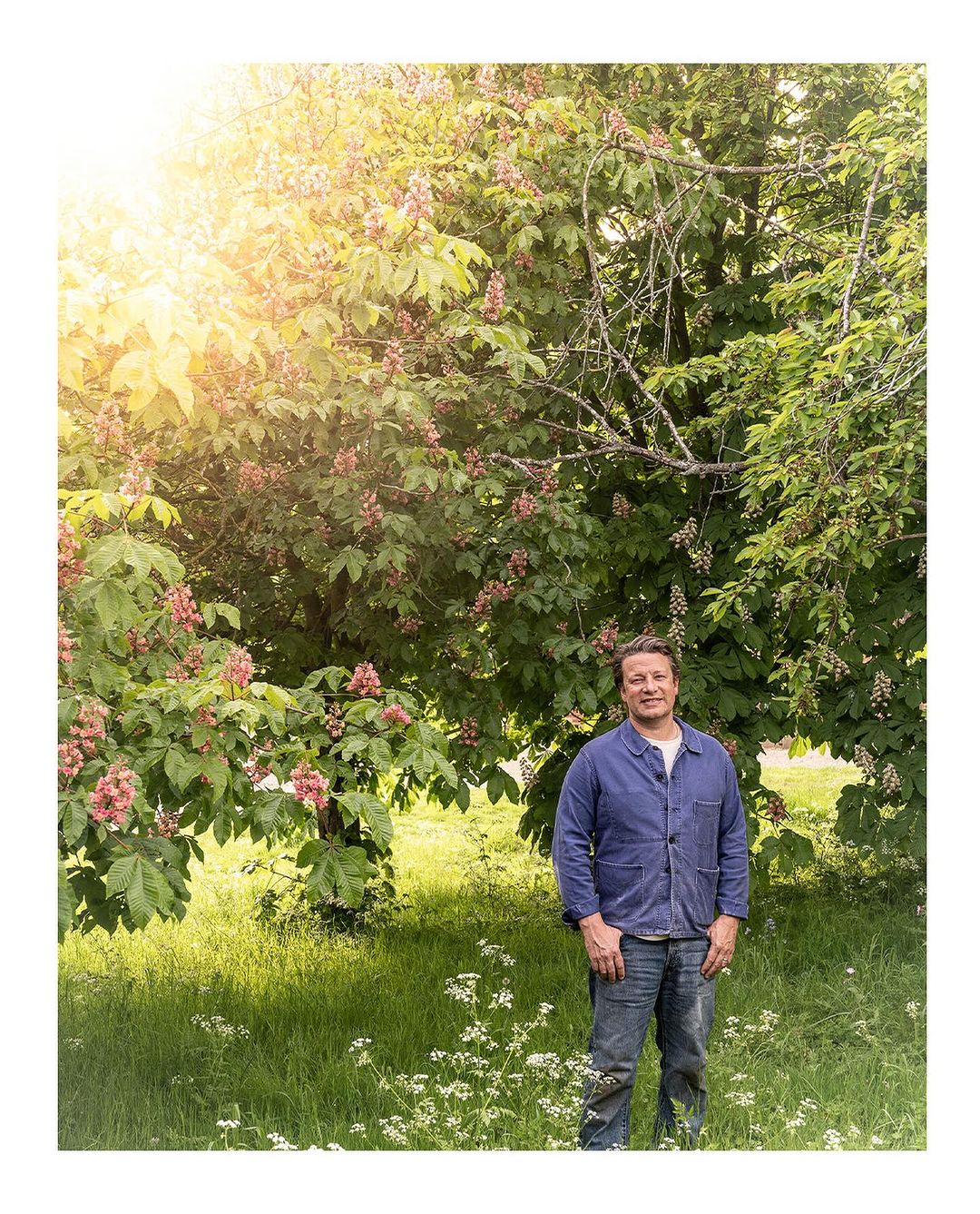 Adult man standing in a grassy field with blossoming trees behind him in sunlight, wearing a blue jacket and jeans, eye-level angle.