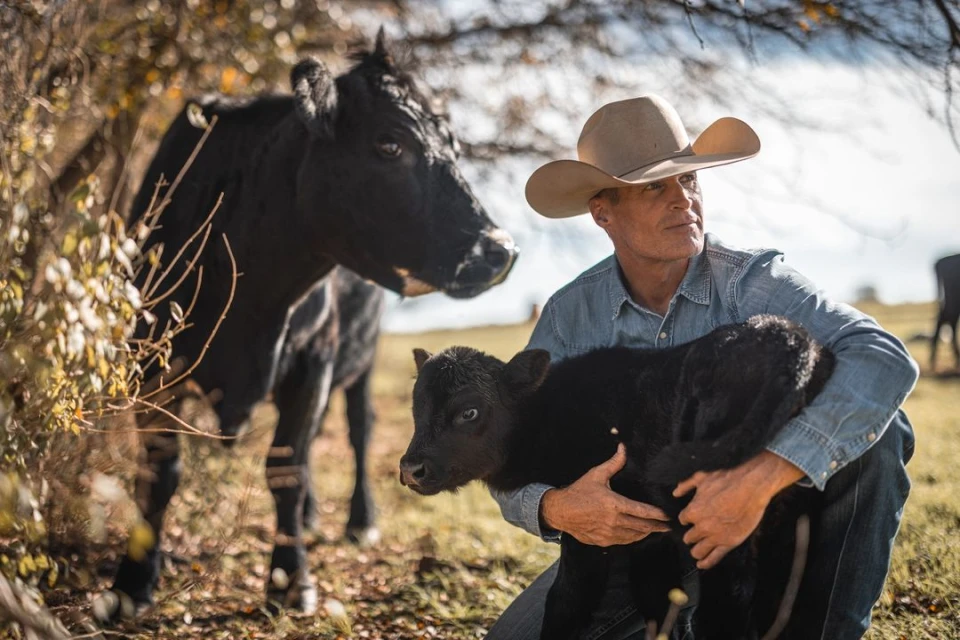 Cowboy in a tan hat cradles a black calf in a grassy field with a black cow standing nearby, lit by soft, natural light.