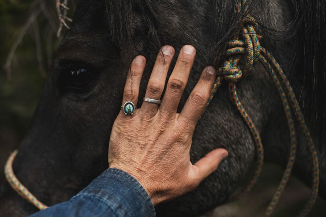 Close-up of a person's hand gently touching the head of a dark horse outdoors. The horse wears a rope bridle; the person wears rings.
