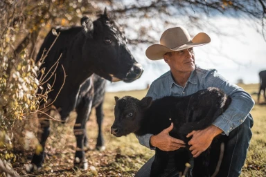 Cowboy in a light-coloured hat holding a small black calf outdoors with cattle in the background