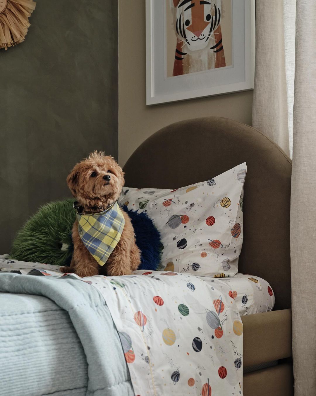 A small dog with a blue and yellow bandana sitting on a patterned bed with a tiger print hanging on the wall in a bedroom.