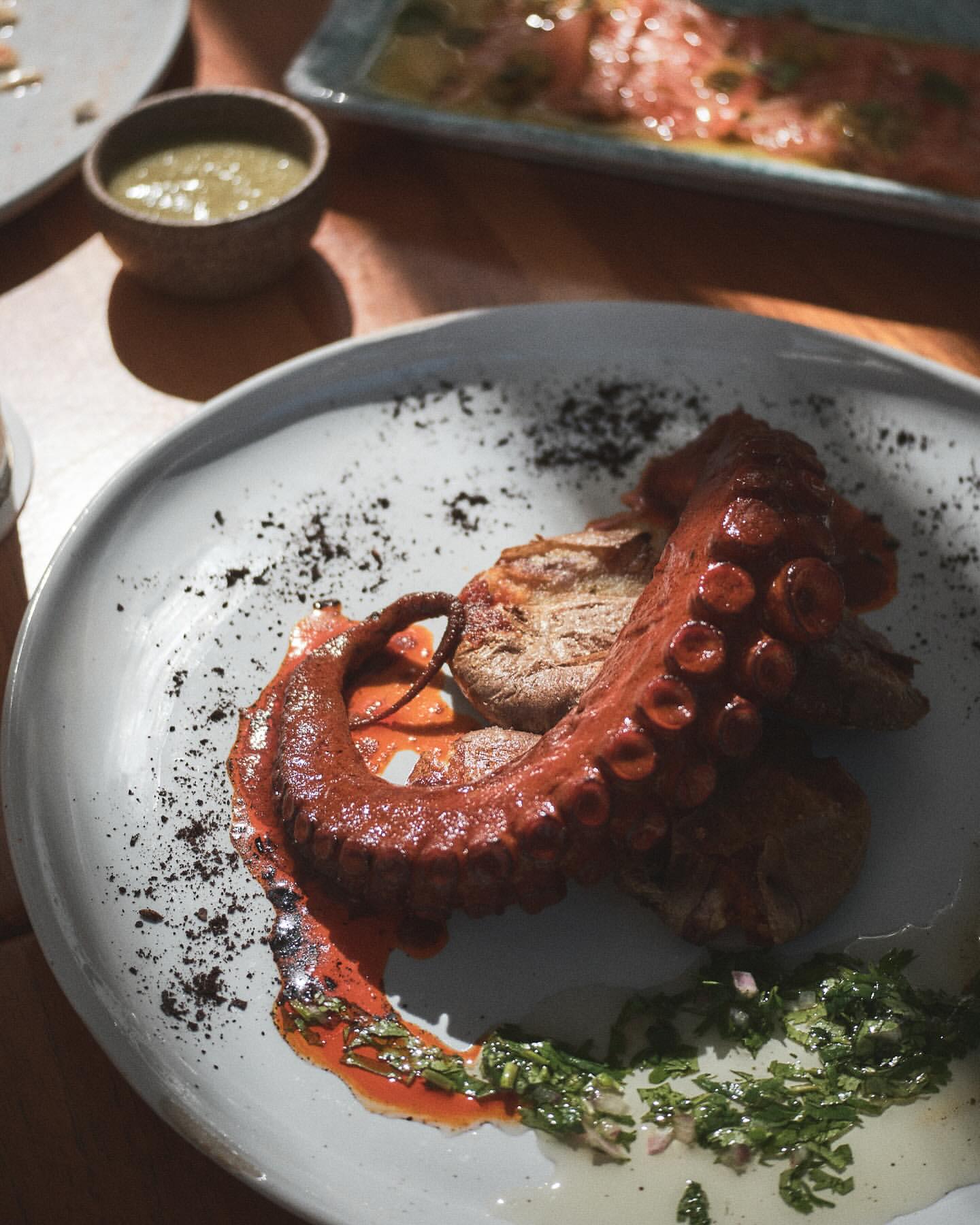 Close-up of grilled octopus tentacle served with potatoes, herbs, and sauce on a white plate, set on a wooden table with other dishes.