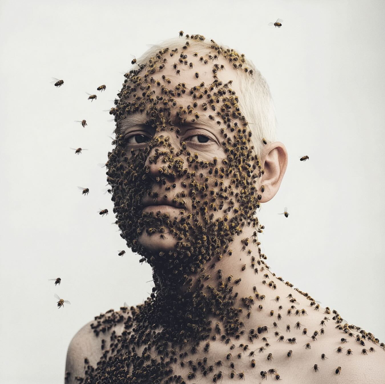 An adult man with short white hair covered in honeybees on his face and chest. Bees are also flying around his head, against a white backdrop.