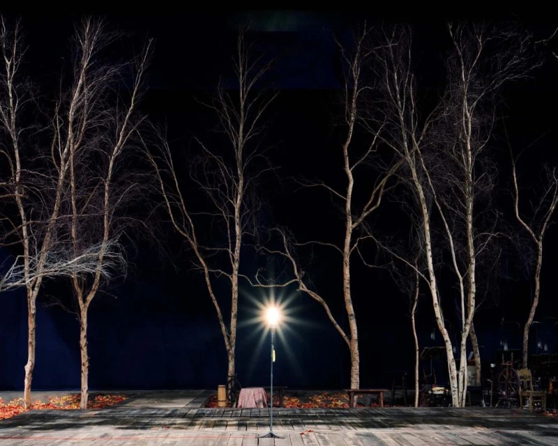 A stage setting with birch trees, a single spotlight, a wooden stage, and a dark blue backdrop creates a dramatic scene in a theatre.