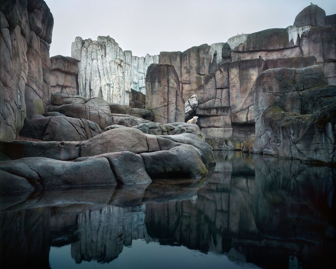 A polar bear sits in a constructed rock habitat with dark water in the foreground under an overcast sky, creating a contemplative scene.