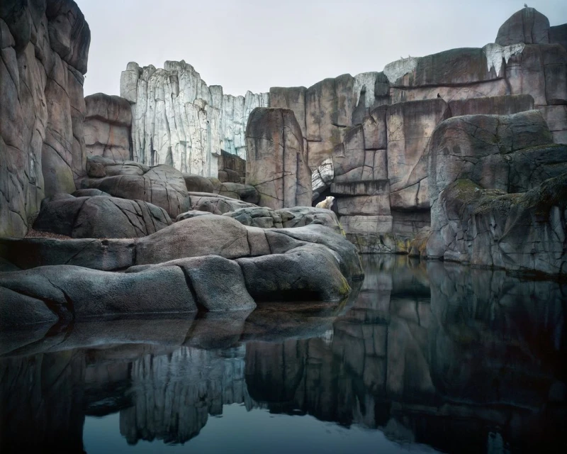 A polar bear sits in a constructed rock habitat with dark water in the foreground under an overcast sky, creating a contemplative scene.