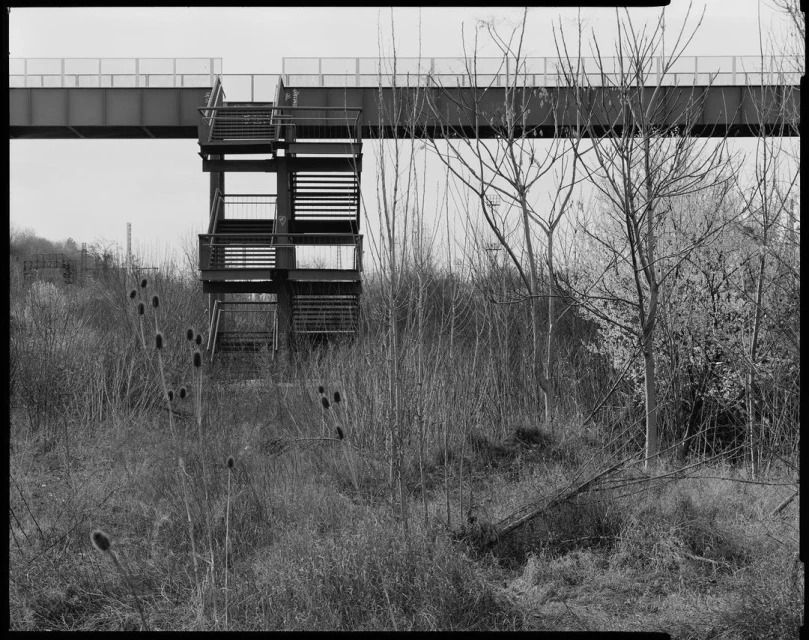 Black and white landscape photograph of a metal staircase leading to a bridge, surrounded by overgrown vegetation and bare trees.