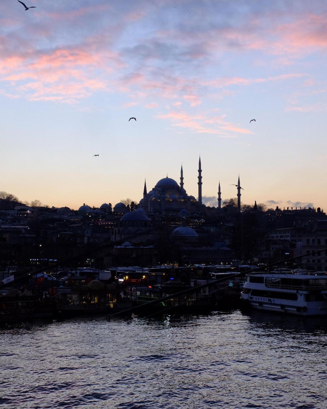 Cityscape silhouette of Istanbul's Suleymaniye Mosque at dusk with birds flying across a pink-tinged sky, viewed across the water.