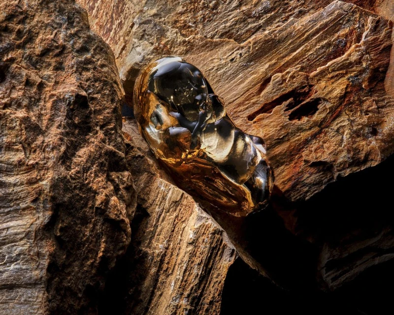 Abstract close-up of a black translucent rock, likely obsidian, protruding from a layered, light-brown textured rock formation, indoor.