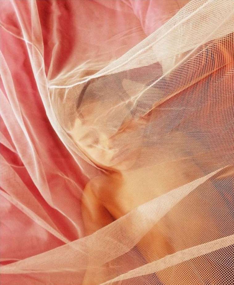 Woman obscured by pink mesh fabric. Ethereal, pink color palette. Fashion and Beauty. Conceptual, artistic portrait.