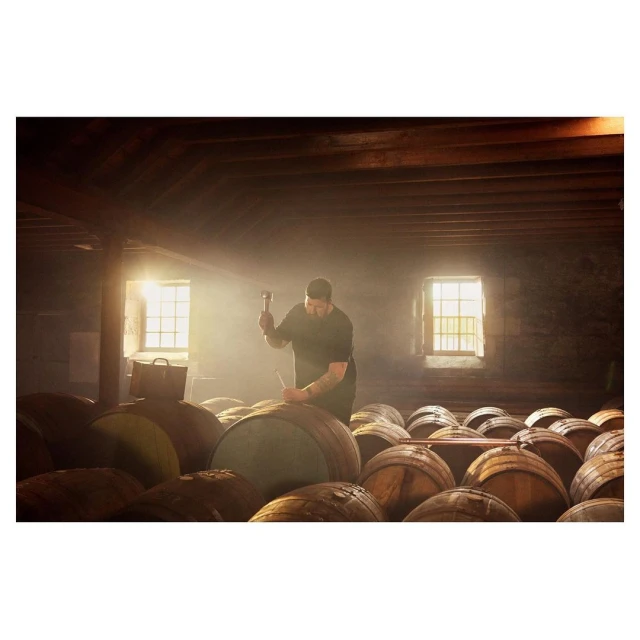 Adult man in rustic cellar hammering bung into wooden barrel in cellar with barrel collection, sunlight, woodworking tool in use.