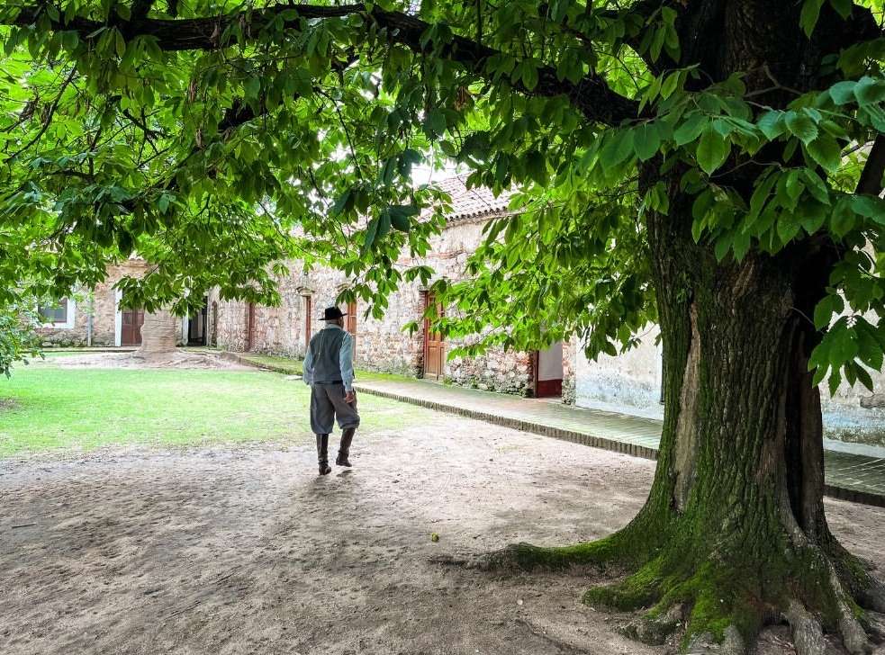Man in traditional clothing walks in a rural courtyard under a large tree, stone buildings in background, creating a historical feel.