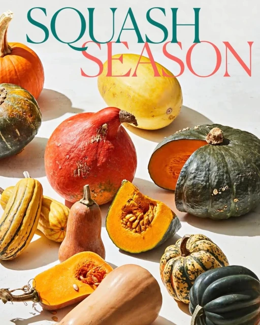 Overhead shot of multiple varieties of squash, including butternut, kabocha, and delicata, arranged on a white surface with 'SQUASH SEASON' text.
