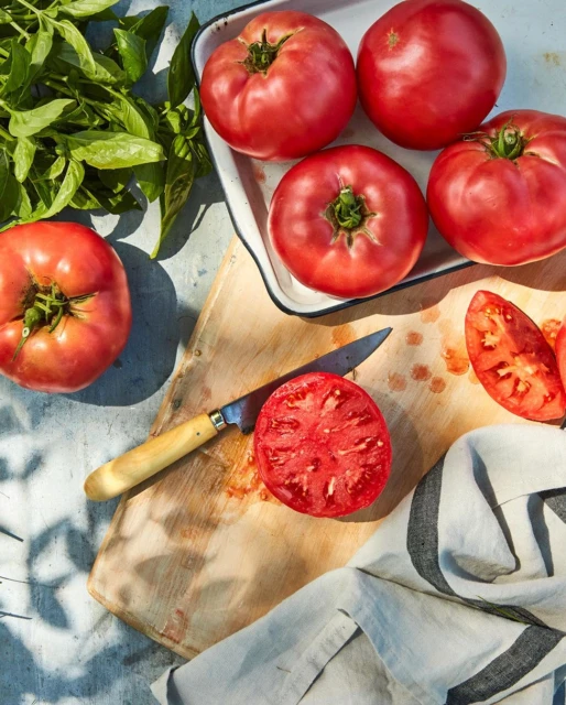 Overhead shot of assorted red tomatoes, whole and cut, on a wood cutting board with a knife and striped towel, with fresh basil.