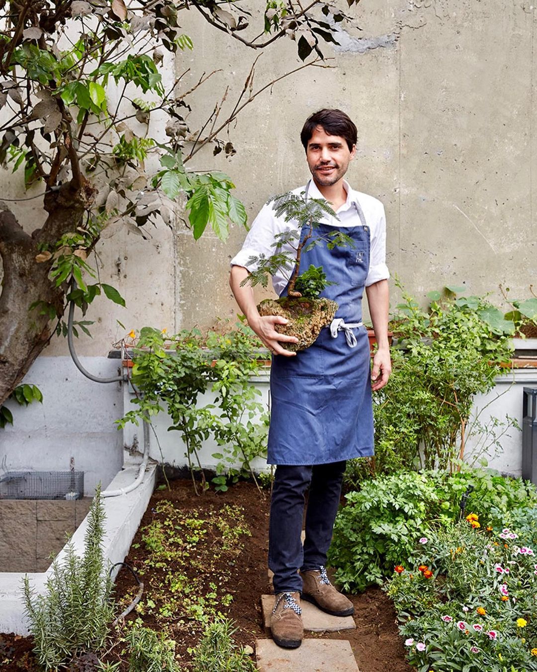 A man in a garden holds a bonsai tree with flowers. He is wearing an apron, shirt, and dark pants. The daylit background includes greenery and a wall.