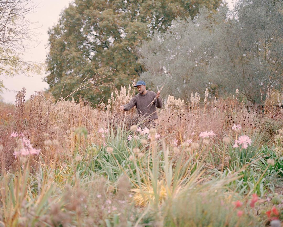 Adult male standing in field of flowering plants and tall grasses in a natural outdoor setting; overcast day with soft light.