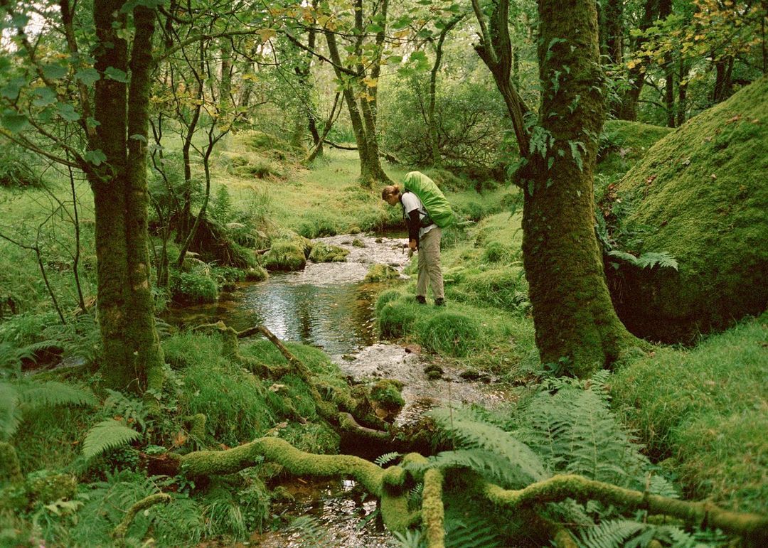 A hiker with a green backpack near a stream in a green forest, with moss-covered rocks and trees in a tranquil outdoor setting.