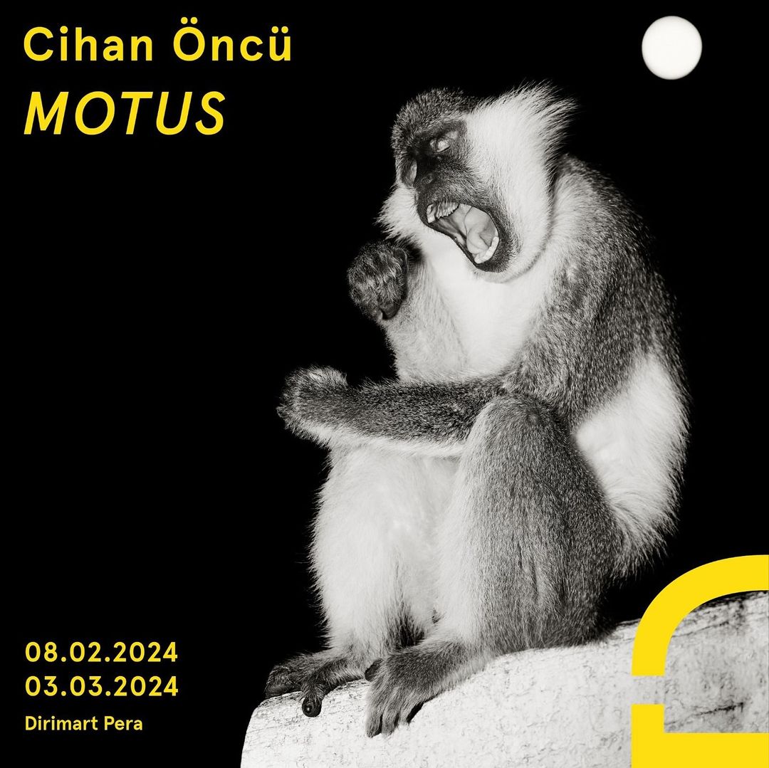 Black and white image of a monkey with its mouth open sitting down, with event text overlayed on the sides and top.