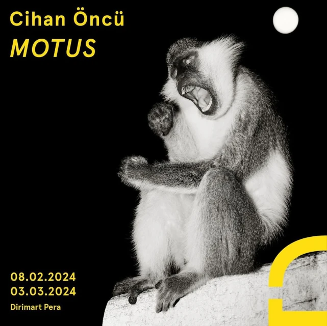 Black and white image of a monkey with its mouth open sitting down, with event text overlayed on the sides and top.