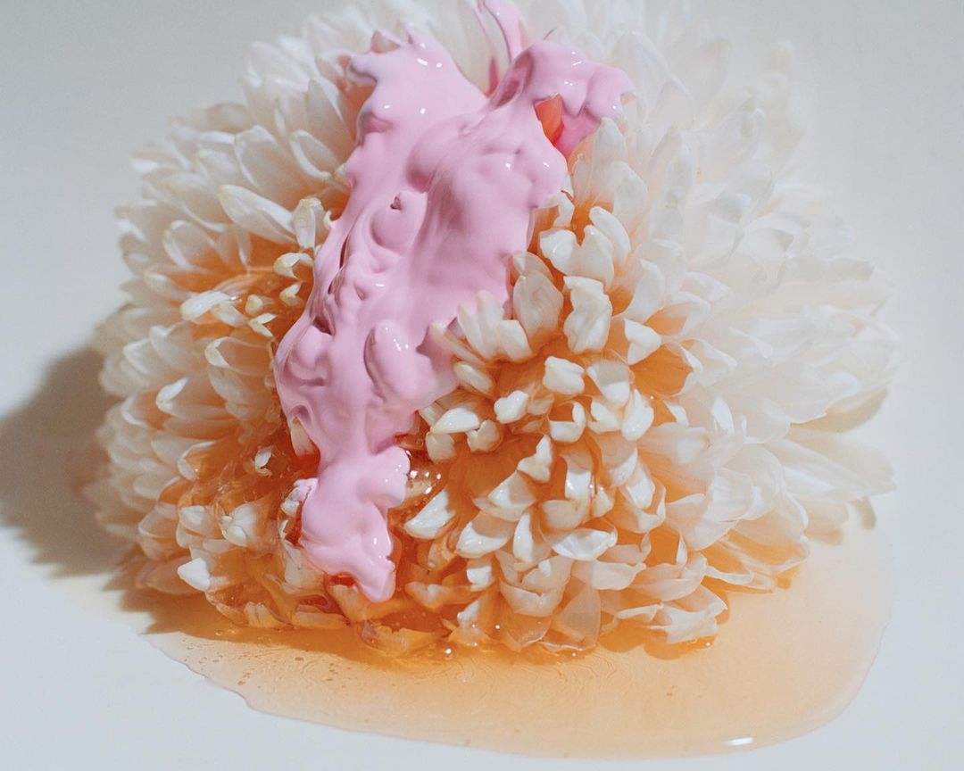 Close-up of a white flower with soft petals partially covered in vibrant pink paint, creating a visually striking and textured composition.