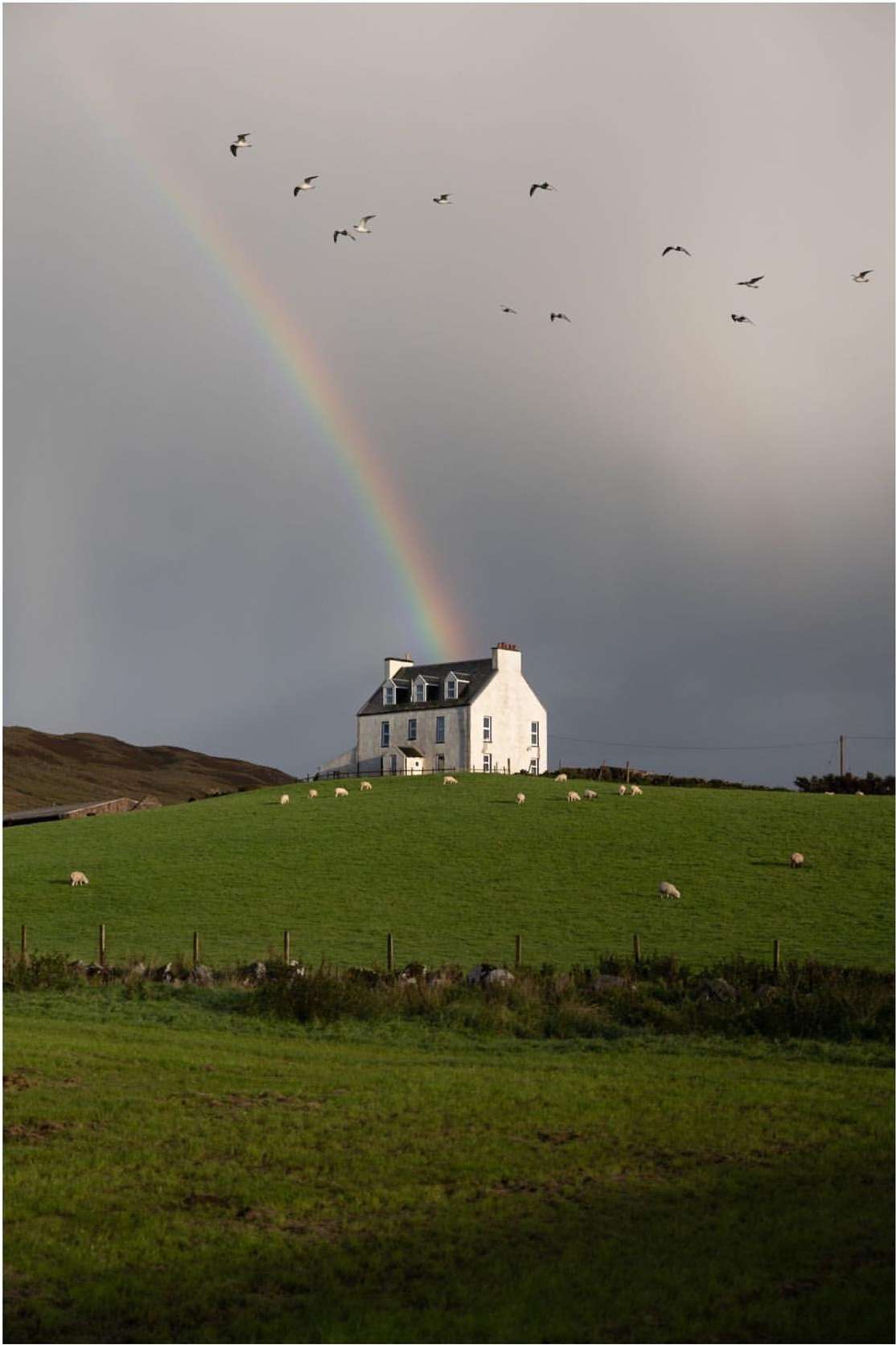 Scenic view of a white house on a green hill under a rainbow with flock of birds in flight, creating a peaceful countryside landscape.