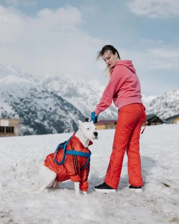 Woman walks a white dog wearing a red jacket in a snowy mountain landscape under a bright, cloudy sky on a sunny day.