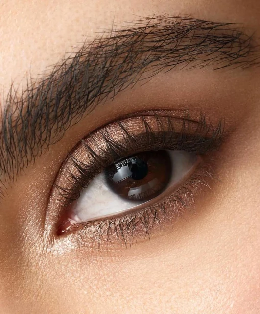 Close-up of a woman's eye with brown eyeshadow, eyebrow, and eyelashes. Cosmetic beauty shot with focus on eye makeup details.