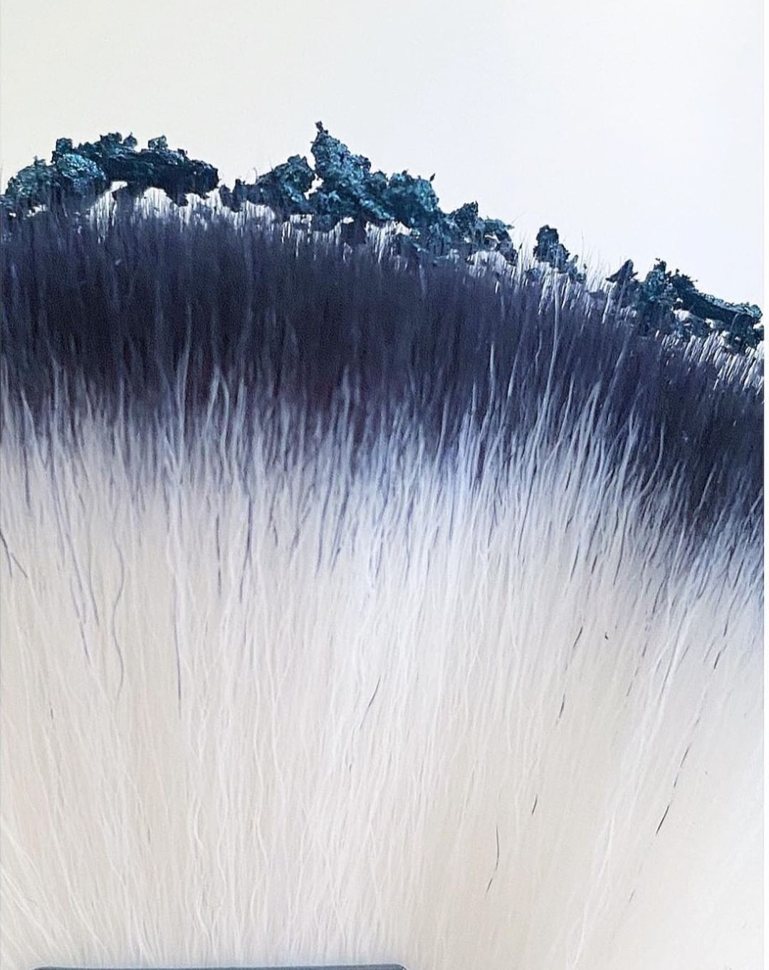 Extreme close-up shot of a makeup brush with two-tone bristles, dark navy blue at the tips, fading into white lower down the brush.