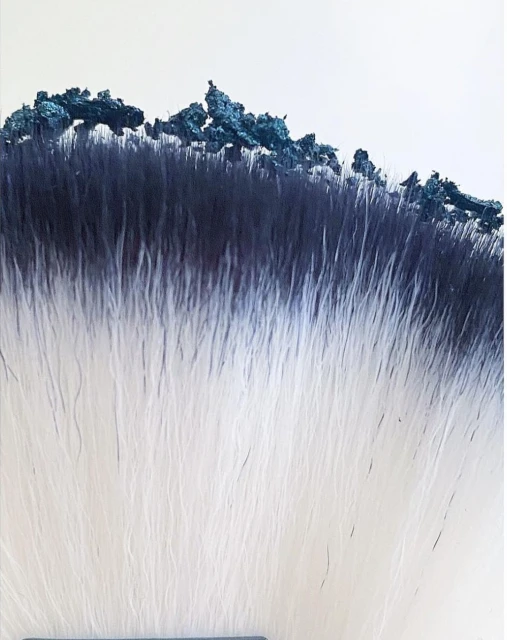 Extreme close-up shot of a makeup brush with two-tone bristles, dark navy blue at the tips, fading into white lower down the brush.