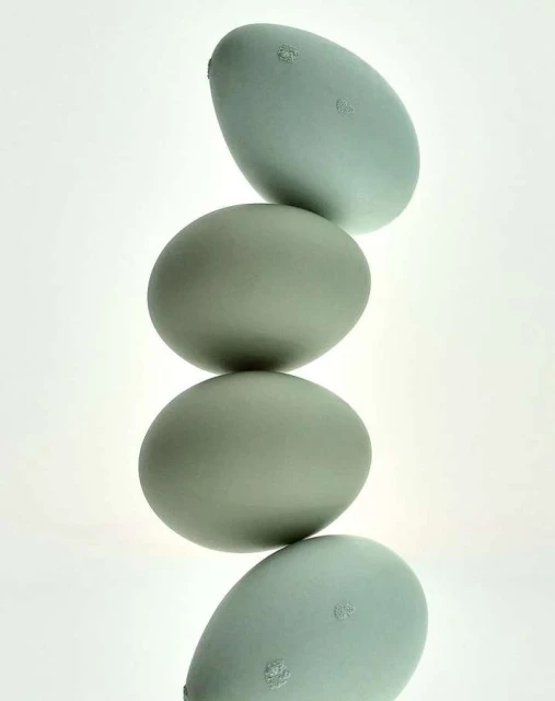 Stack of four blue-green chicken eggs arranged vertically in a balanced tower against a white backdrop in a minimalist composition.