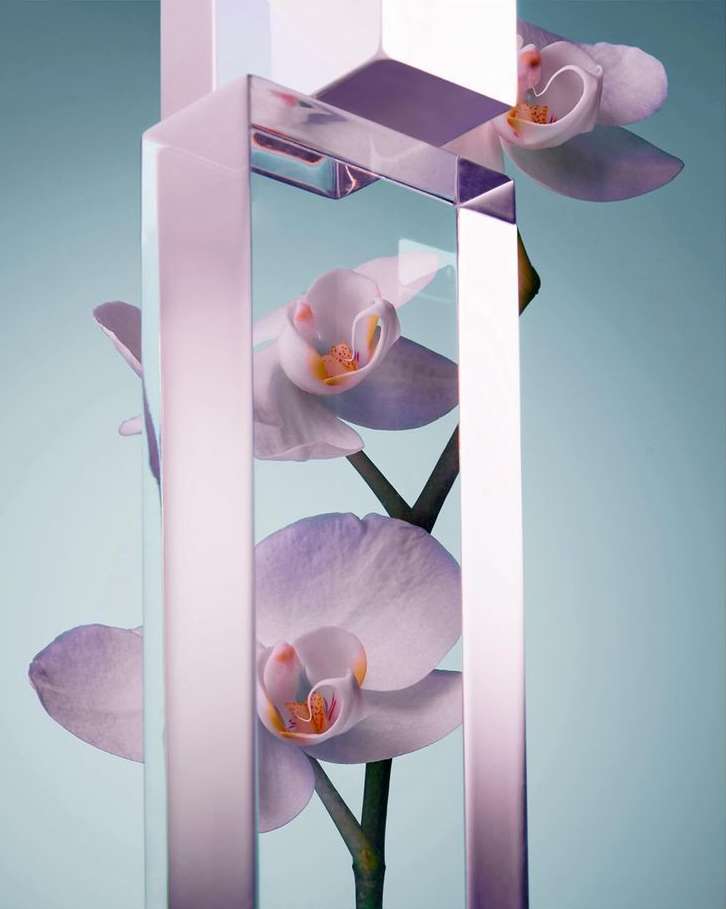 Orchid flowers encased in a geometric clear block against a soft light blue background, minimalist floral art, beauty shot.