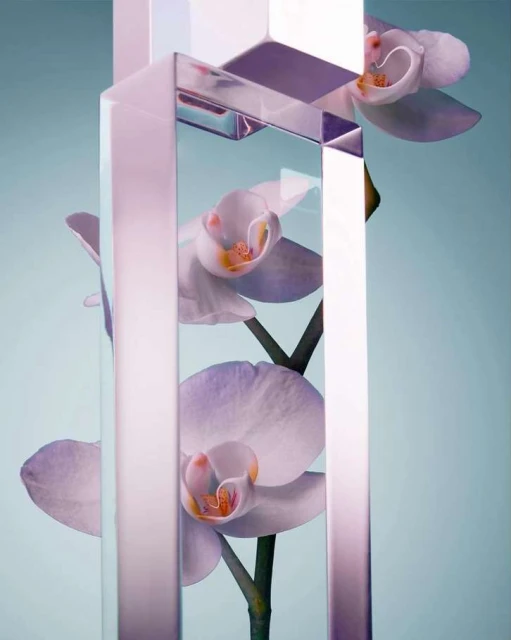 Orchid flowers encased in a geometric clear block against a soft light blue background, minimalist floral art, beauty shot.