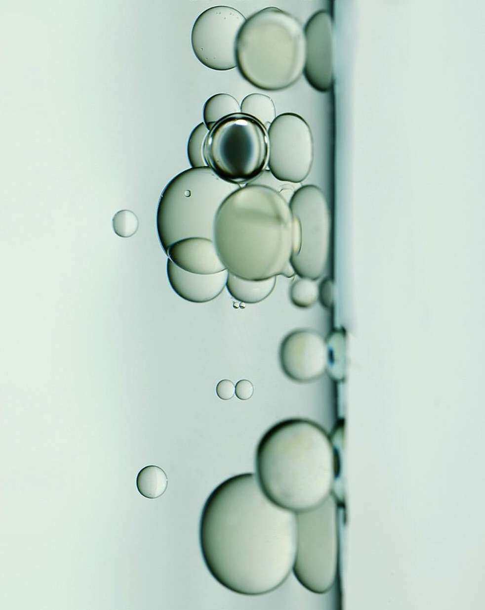 Close-up of translucent liquid with suspended bubbles of varying sizes, some clustered, against a soft, light background.