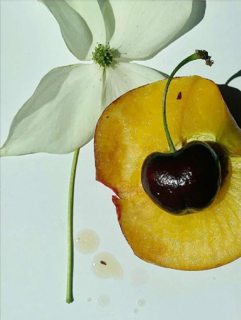 Claire Benoist