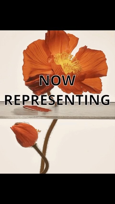 Artistic studio shot of an orange poppy flower and closed poppy bud against a gradient light beige background with text overlay.