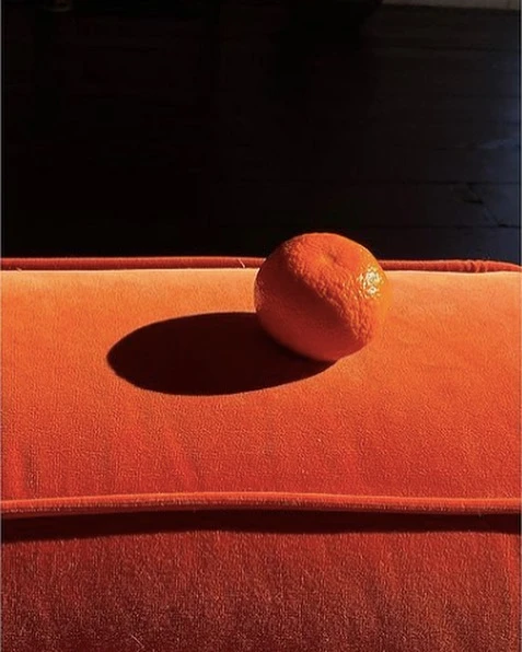 Orange still life featuring a bright citrus fruit positioned on a textured orange surface against a dark background in a minimalist composition.