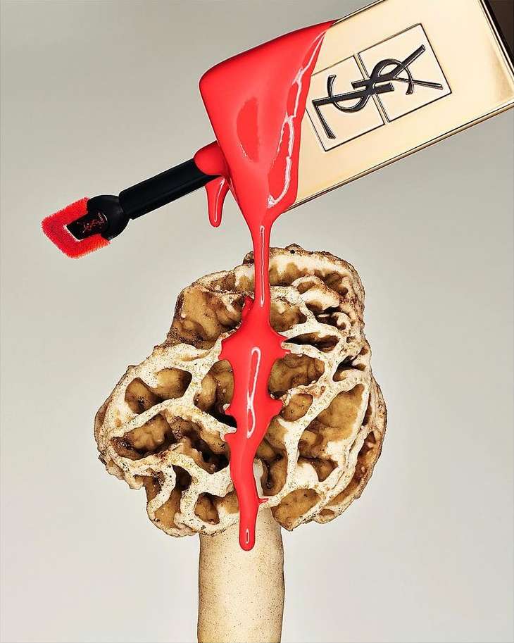 Artful still life featuring a tube of YSL lipstick with bright red lipstick dripping onto a morel mushroom against a pale background.