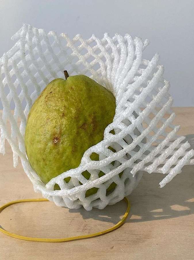 A single guava fruit sits in a white foam protector with a rubber band underneath, set on a light brown wood-grain surface.