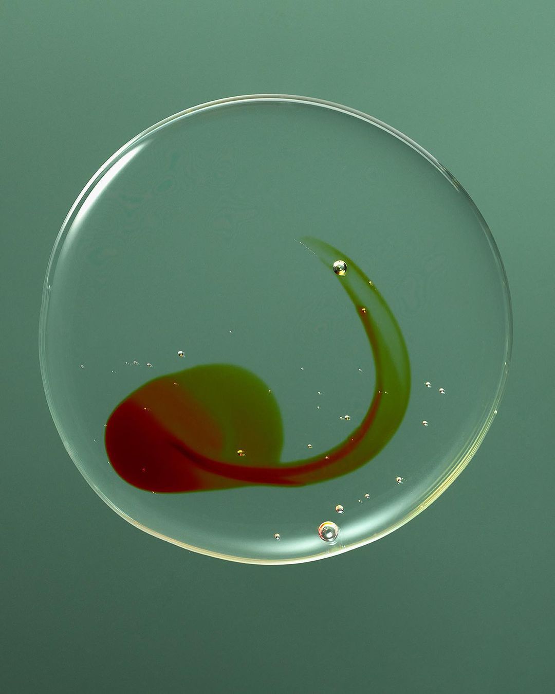 A round, clear petri dish on a green background contains a swirling pattern of green and red liquid with small bubbles.