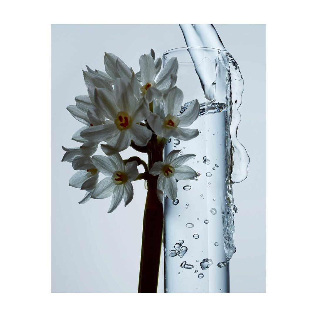 Striking close-up captures a white flower next to clear glass with water pouring in, creating bubbles against a soft, light background.