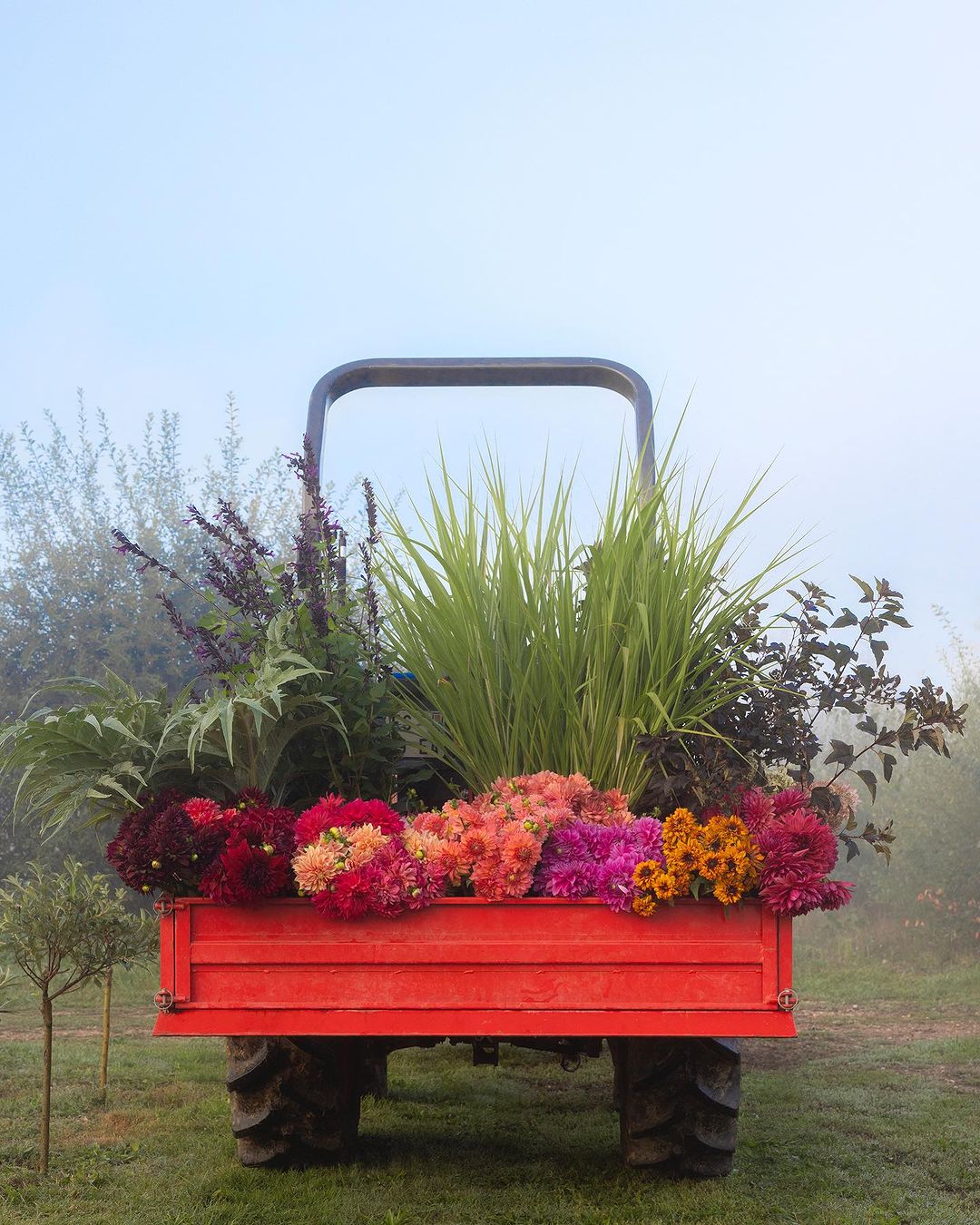Red tractor trailer filled with colorful assorted flowers in a field, with trees and fog in the background in vertical composition.