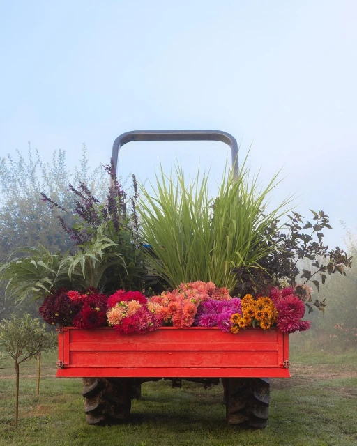 Red tractor trailer filled with colorful assorted flowers in a field, with trees and fog in the background in vertical composition.