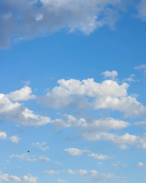 Vast blue sky filled with fluffy white clouds on a sunny day, with a small black bird flying in the distance. Serene and peaceful.